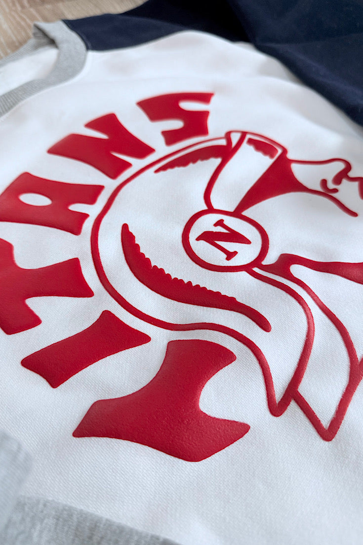 Colorblock Raglan Fleece with Titan Head Puff