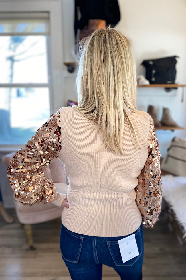 Chenel Blush Sequin Sleeve Sweater