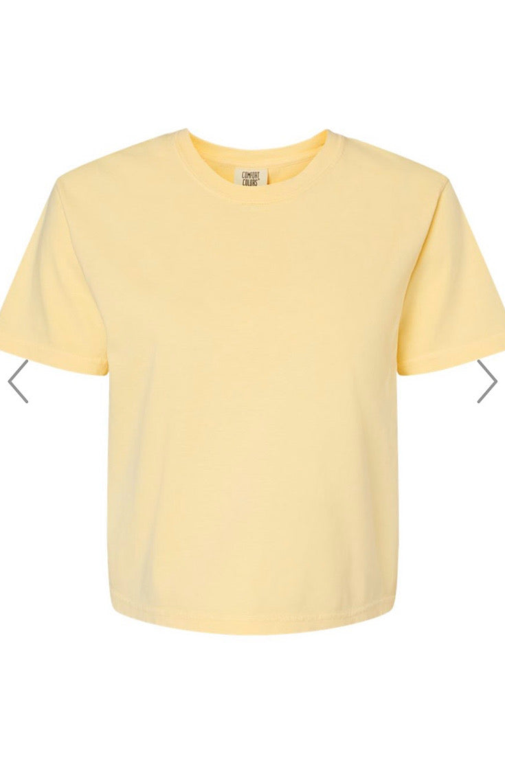 Chayse Boxy Modest Crop Washed Tee {4 colors}