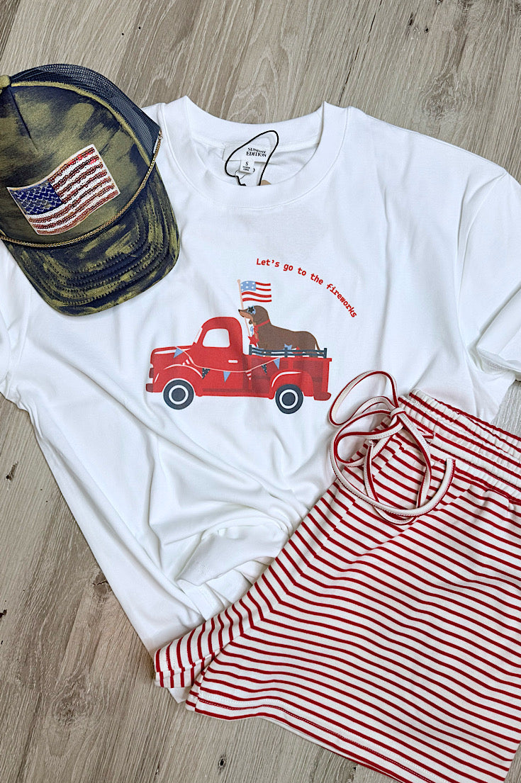 Patriotic Dachshund Oversized Boxy Tee