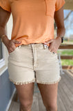 Brent Frayed Hem Denim Shorts