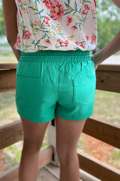 Baylor DrawString Linen Shorts {3Colors}