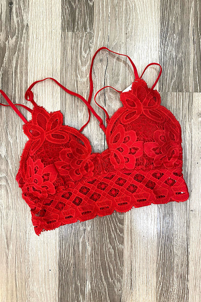 The Best Lacy Padded Bralette