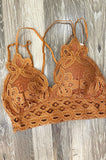 The Best Lacy Padded Bralette